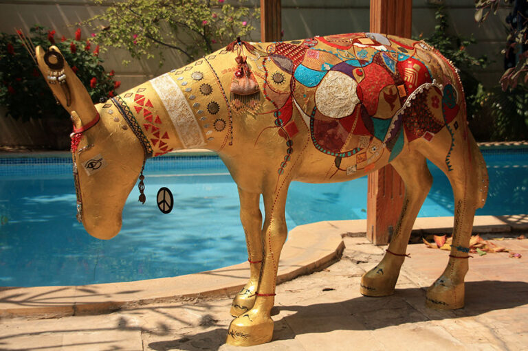 In peace with compassion